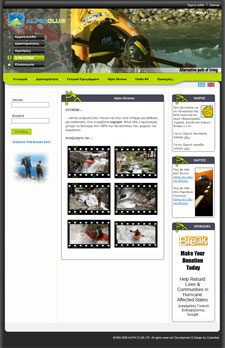 custom website designers